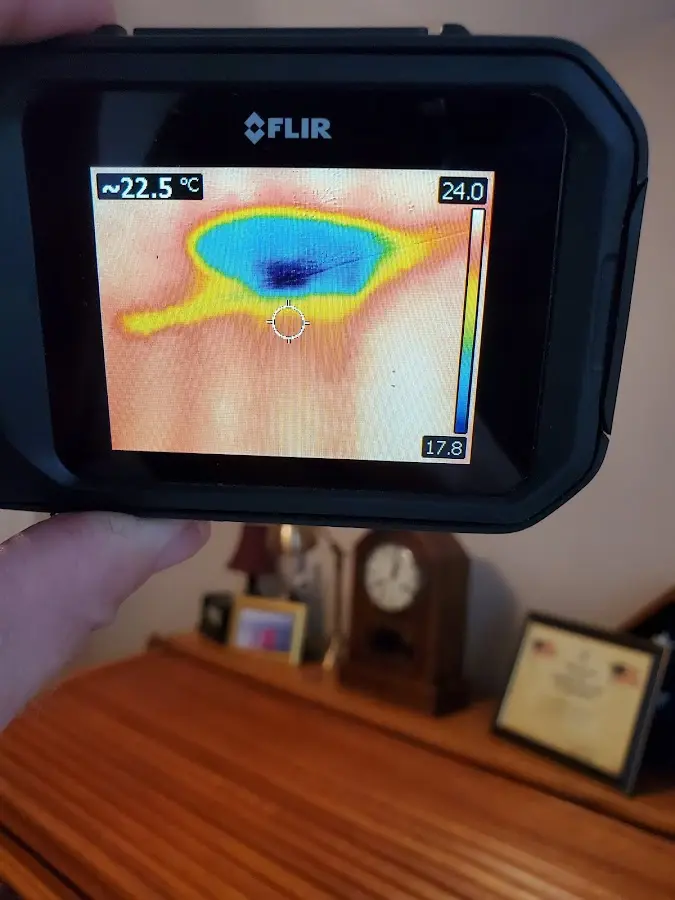Thermal imaging inspection for water damage in Niles